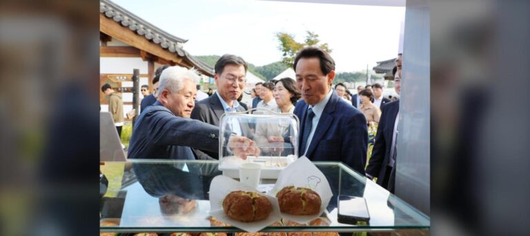 강릉빵축제서 망디앙 초콜릿 체험 인기