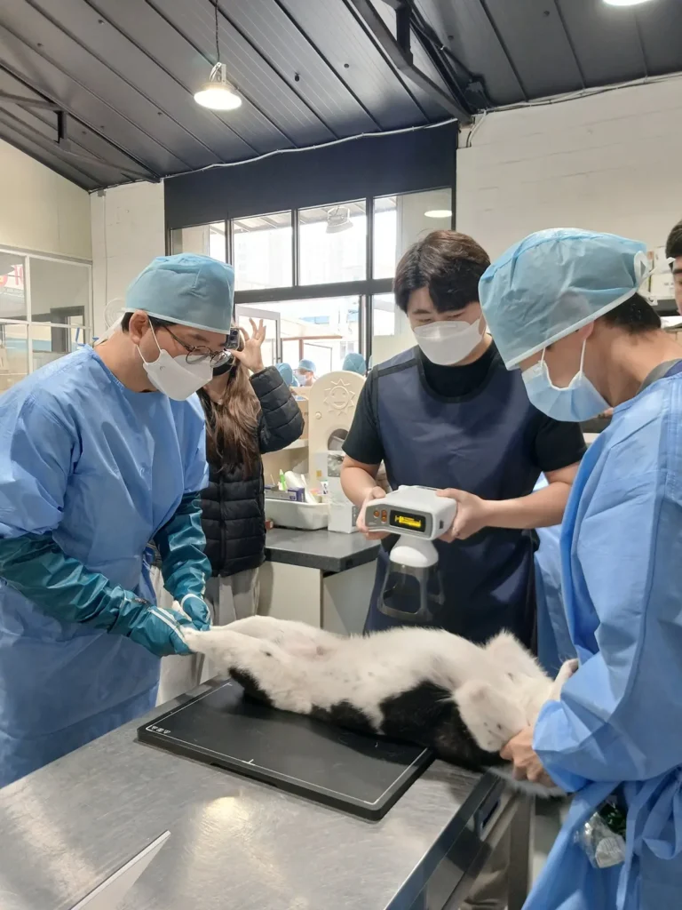 찾아가는 동물보호시설 진료활동 현장